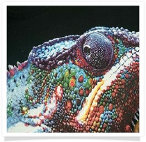 4colour-process-lizard-detail.jpg