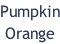 Pumpkin Orange
