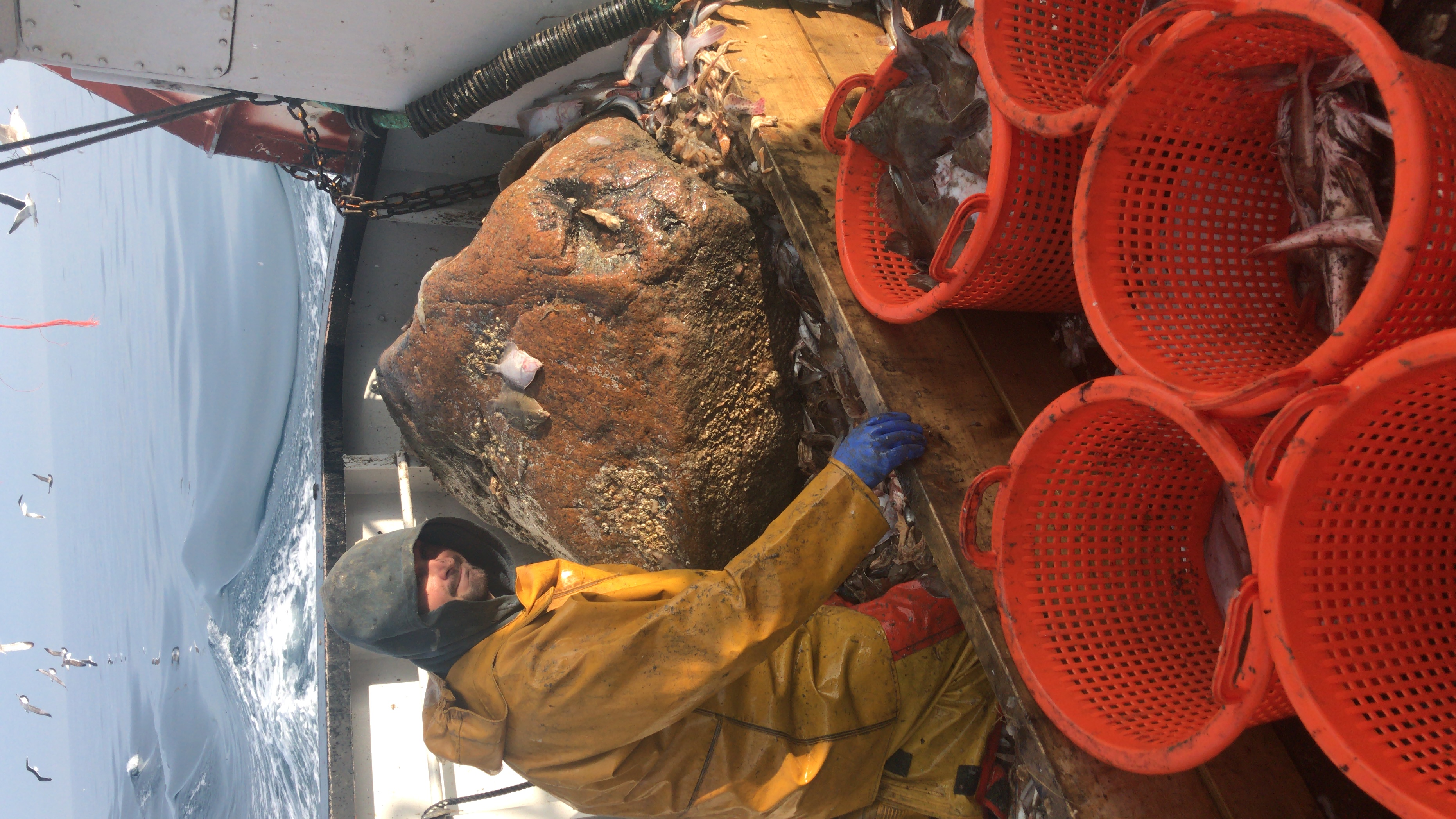 Crew with a boulder-sized catch