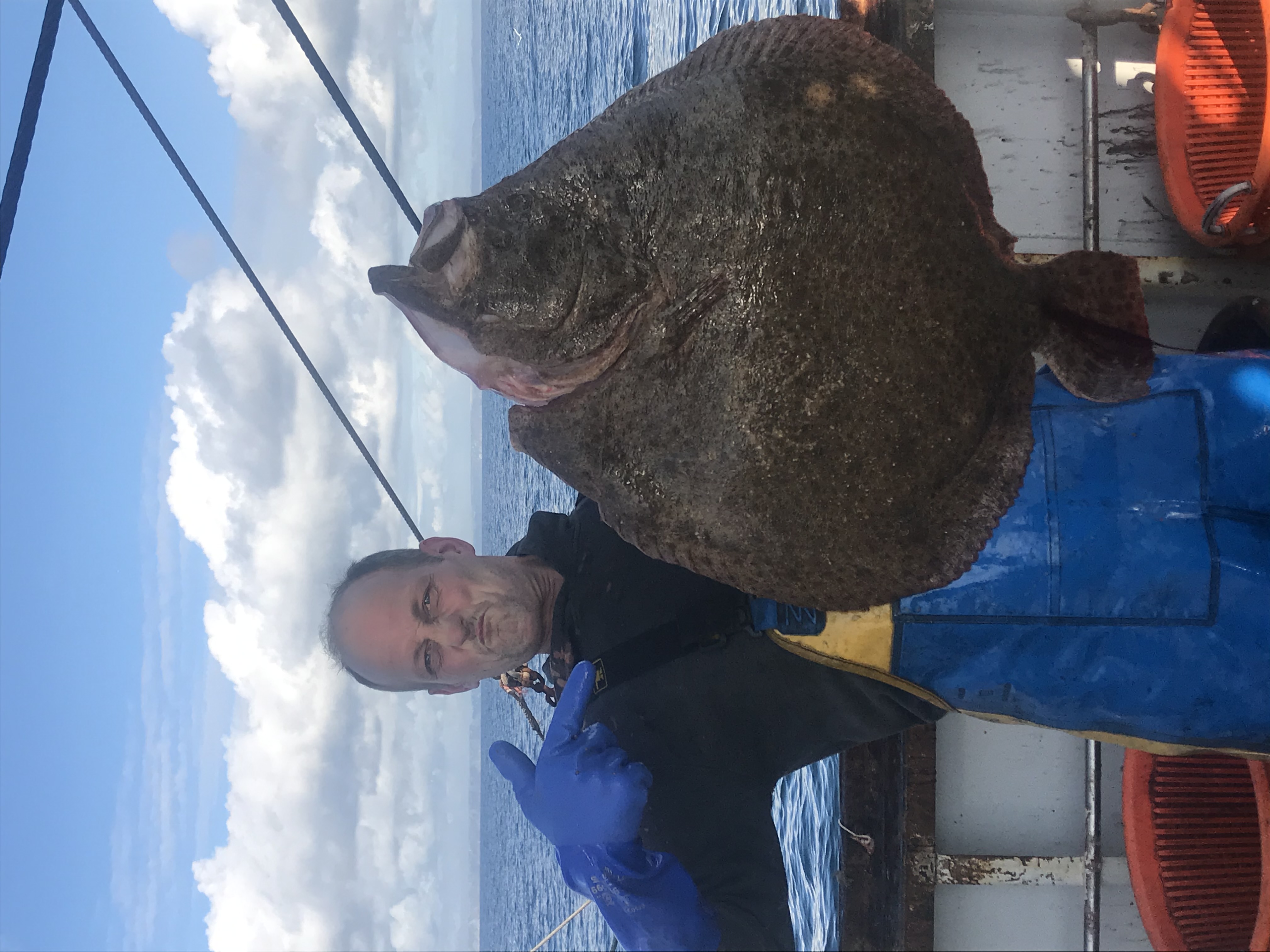 Crew with a massive turbot on deck