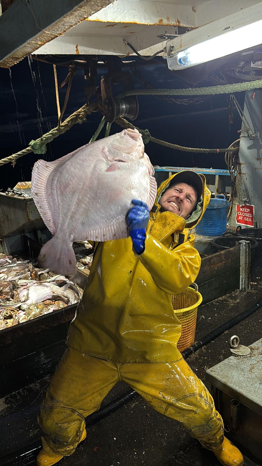 Crew struggling to lift giant halibut — night