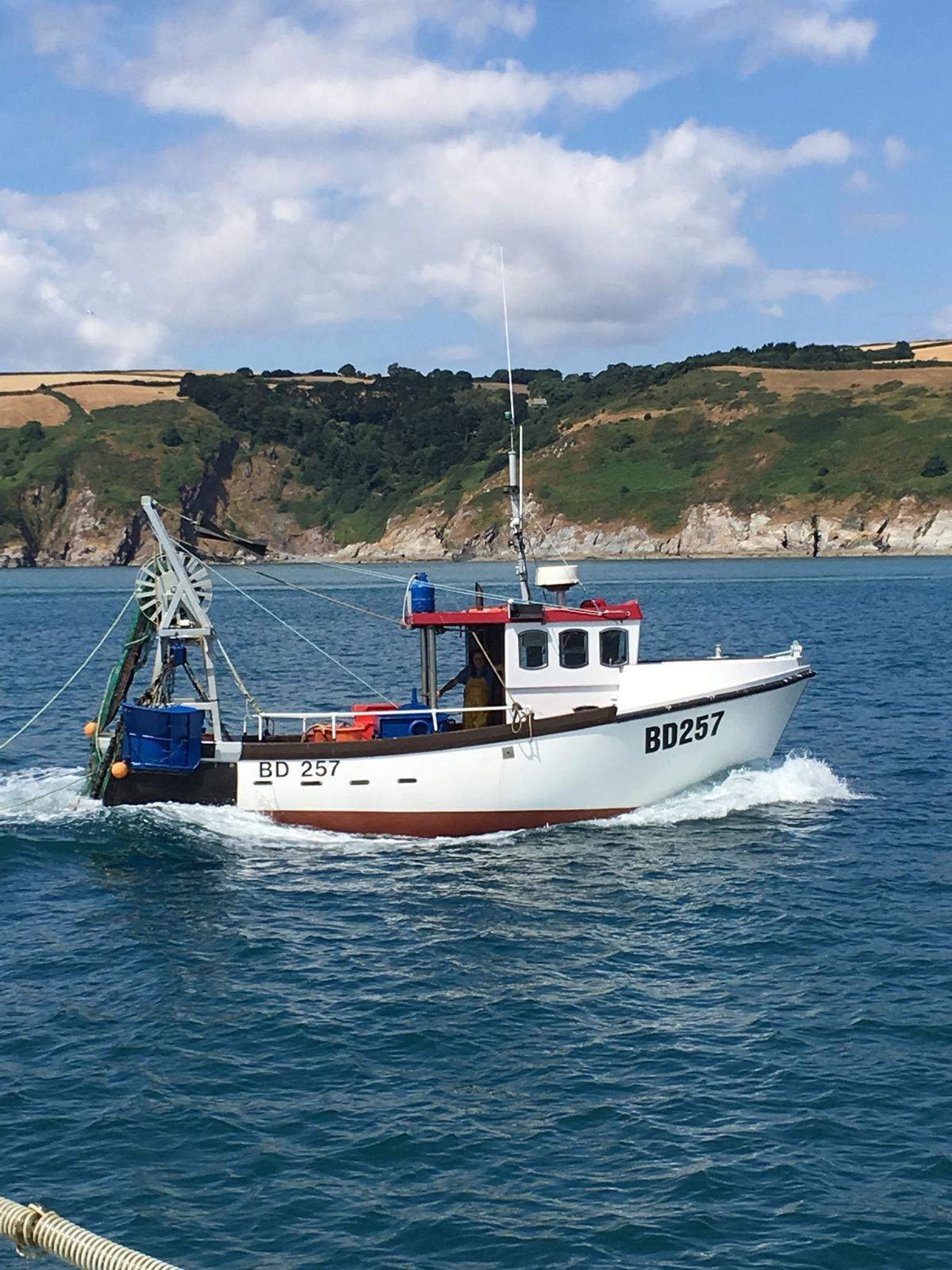 BD257 inshore — calm day