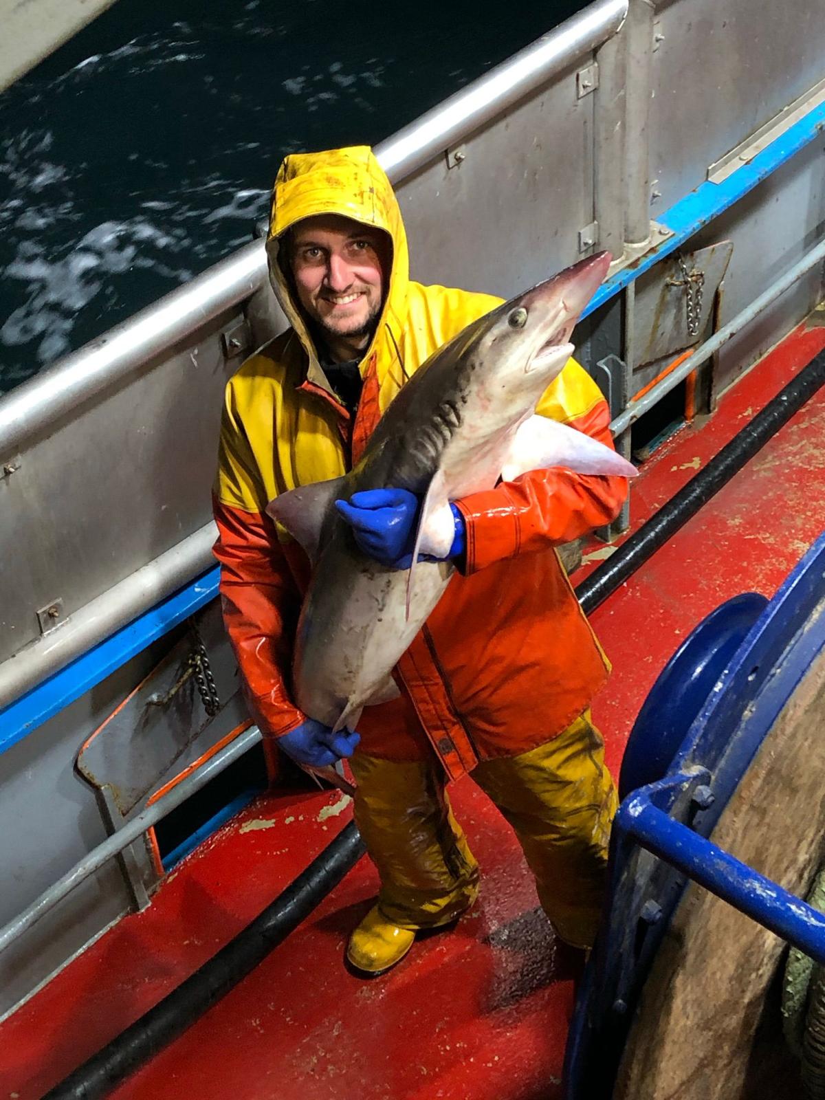BD257 fishing — Devon coast backdrop